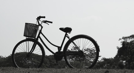 Fototapeta na wymiar Vintage bicycle waiting near tree, Style black and white