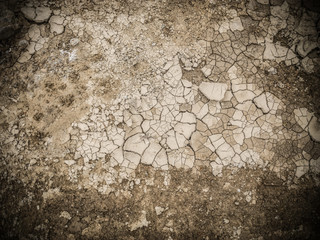 Dry soil texture on the ground