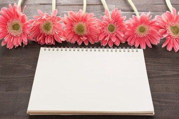 Pink gerbera flowers are on the wooden background