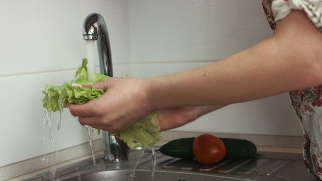 Picture of young female hands wash lettuce leaves in a sink before cooking. 