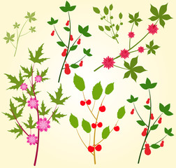 Colorful floral collection with leaves and flowers Spring or summer design for invitation, wedding or greeting cards