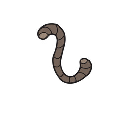Fototapeta premium Animal earth worm