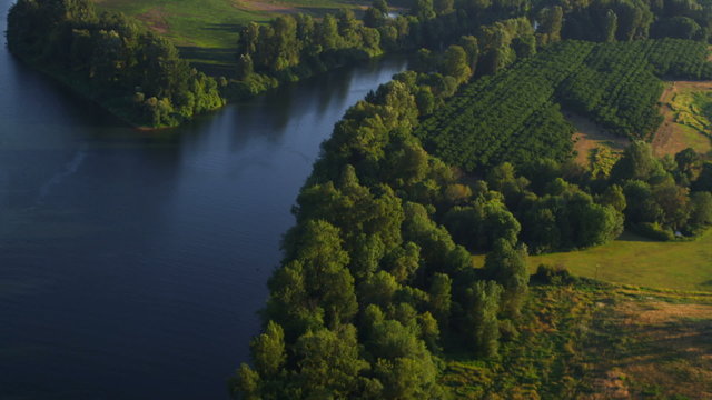 Aerial shot of fork in river