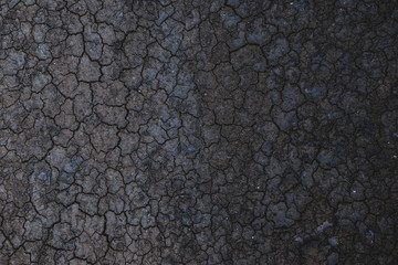 Naklejka premium ひび割れた地面,干ばつ