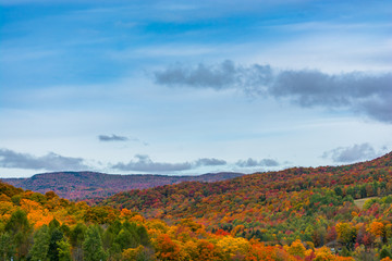 Vermont foliage in peak season