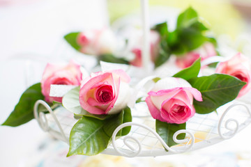 Pink roses bouquets on the white tray