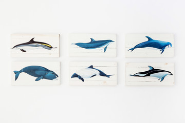 Obraz premium Variety of photo frame on wall