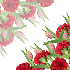 Floral background. Red carnations and pink tulips 