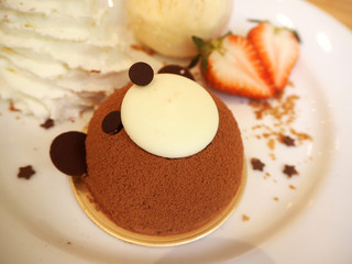 chocolate teddy bear with ice cream