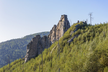 Wild rock.
Rocky formation on the hills of the Sikhote-Alin.