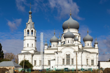 Church of the Nativity. Anna. Russia