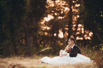 Beautiful romantic wedding couple of newlyweds hugging in park on sunset