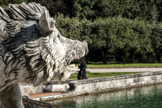 Venus fountain in the royal palace of caserta