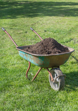Wheelbarrow  full of compost on green lawn