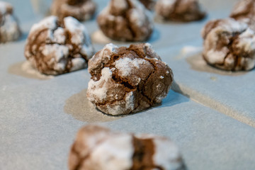 Chocolate round cookies