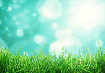 Fototapeta na wymiar close up fresh spring green grass panorama
