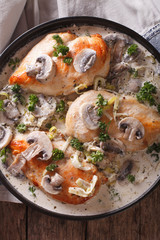 Chicken with mushrooms and leek in a creamy sauce close-up. vertical top view 
