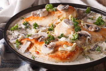 Delicious chicken breast with mushroom sauce close-up. horizontal 
