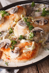 Chicken fillet in a mushroom sauce on a plate macro. Vertical
