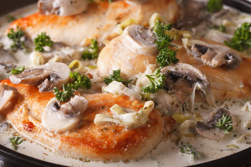 Chicken fillet in a mushroom sauce on a plate macro. Horizontal
