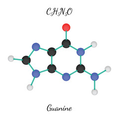 C5H5N5O guanine molecule