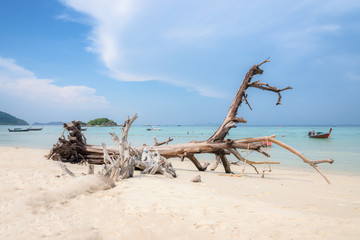Timber wreck on the beach and blue sky at Koh Lipe province Satun in Thailand