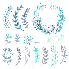 Set of flowers painted in watercolor on white paper. Sketch of flowers and herbs. Wreath, garland of flowers