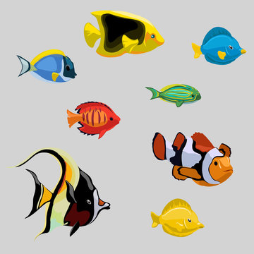 Collection of tropical and deep-sea fish