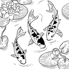 Koi-fish