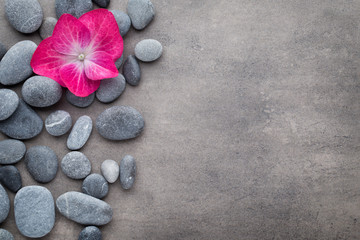 Spa stones and flowers, on grey background.