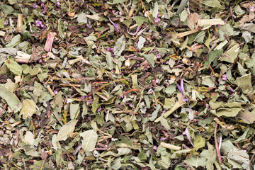 Herbal tea medicinal plants, homeopatic.