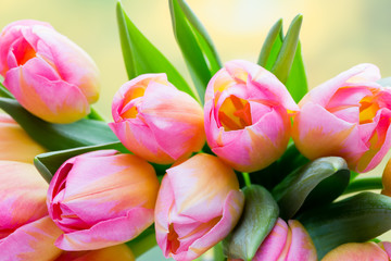 Spring flowers. Tulip bouquet on the bokeh background.