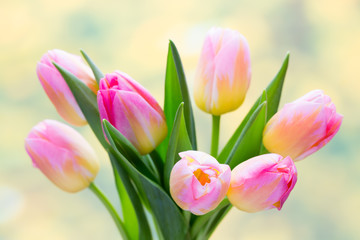 Spring flowers. Tulip bouquet on the bokeh background.