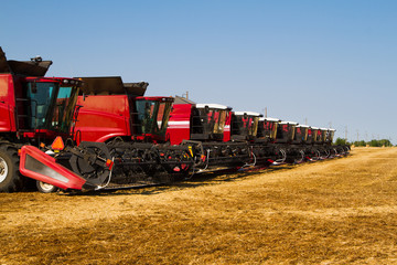 Obraz premium Combine harvesters