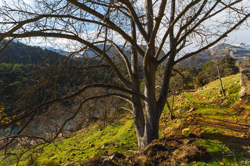 Natural Park. Parque natural Sierra de Castril, Granada, Andalucía, Spain, Europe.