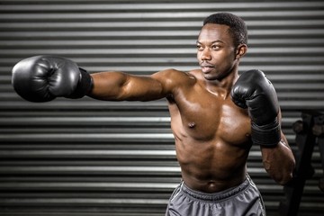 Shirtless boxer training