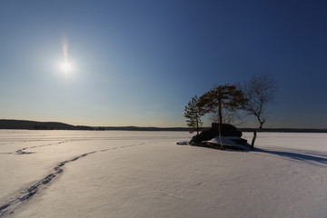 snowy frozen lake, lake in snow, pine tree on the lake, russian