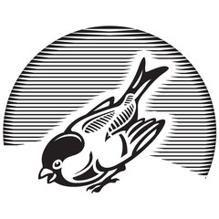 Sparrow