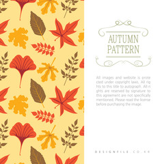 문양 패턴 일러스트