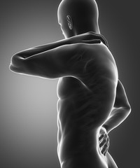 Spine injury pain in sacral and cervical region concept