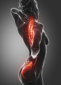 Spine injury pain in sacral and cervical region concept