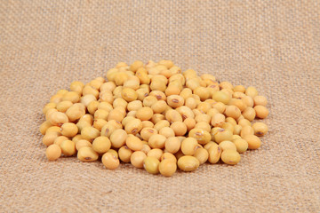 soybean