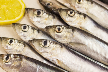 Fototapeta premium Sea fish - herring and lemon