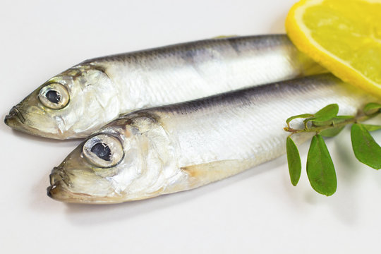 Herring, lemon and green branch on parchment