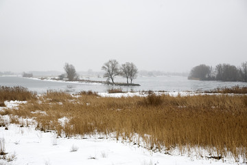 Winter landscape along river Meuse near Poederoijen, Gelderland,
