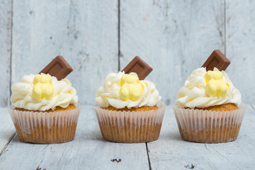 Homemade cupcakes decorated with chocolate and gummy bears