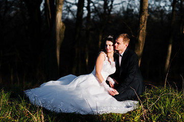 Great and gorgeous wedding couple at sunset near wood