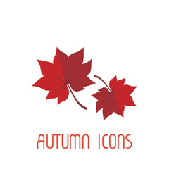 아이콘 일러스트