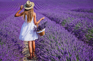 Young girl in the lavander fields - 105421221