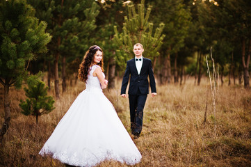 Lovely wedding couple  in a pine forest